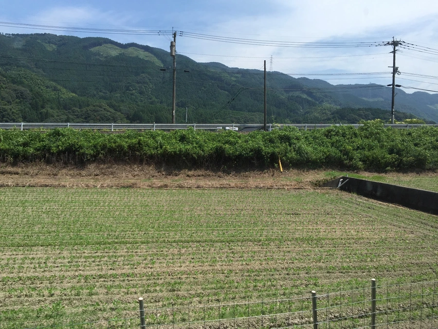 車窓の風景